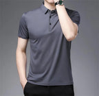 Camisa Polo Masculina Lisa Vizencci Class